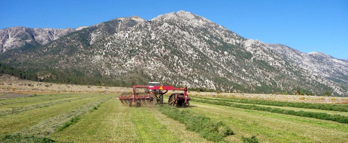 Alpine Farms - Harvesting Equipment