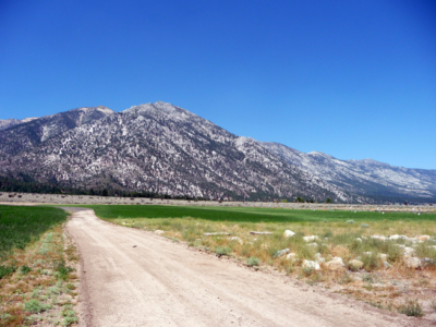 Alpine Farms