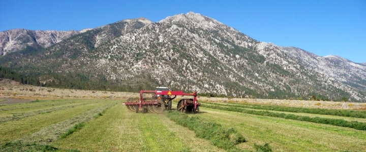 Alpine Farms - Harvesting Equipment