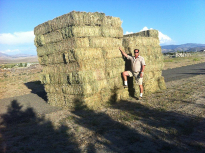 Alpine Farms - Feed